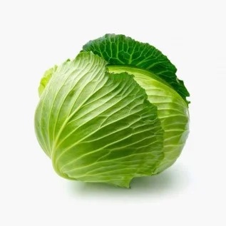 A head of iceberg lettuce.